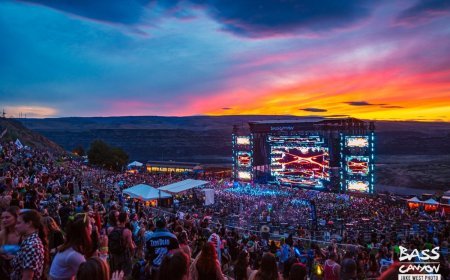 HOMBRE SOSPECHOSO FUE ARRESTADO POR UN POSIBLE TIROTEO EN EL FESTIVAL BASS CANYON