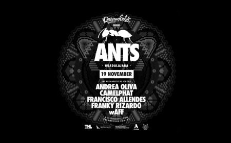 ESTE ES EL LINE UP DE &#8220;UNITED ANTS&#8221; EL NUEVO STAGE HOSTING DE  DREAMFIELDS MÉXICO