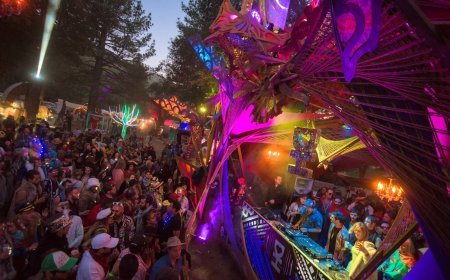 DESERT HEARTS FESTIVAL CANCELA OFICIALMENTE LA EDICIÓN 2020