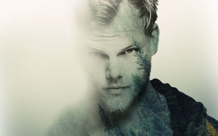 Avicii, dos años después de su muerte