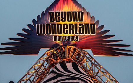 El mundo mas allá de Beyond Wonderland.