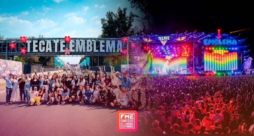 The Rise of Gourmet Street Food: Trends and Top Picks