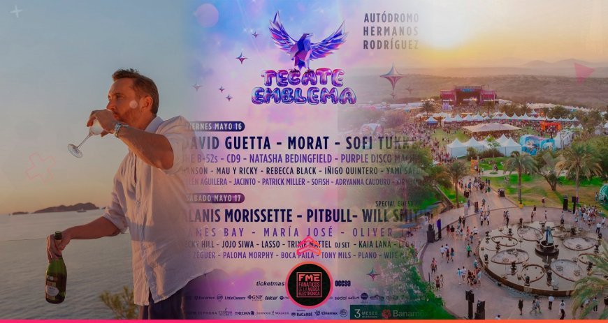 The Rise of Gourmet Street Food: Trends and Top Picks