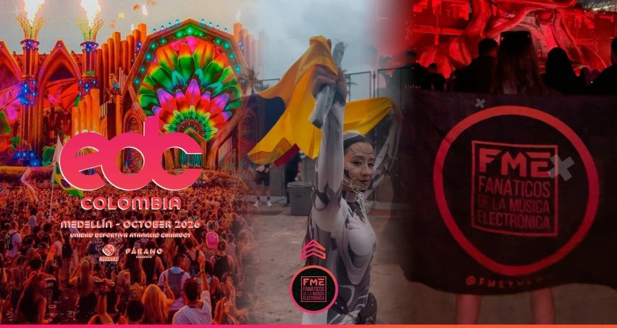 The Rise of Gourmet Street Food: Trends and Top Picks