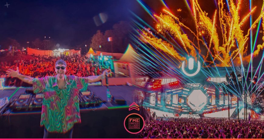 The Rise of Gourmet Street Food: Trends and Top Picks