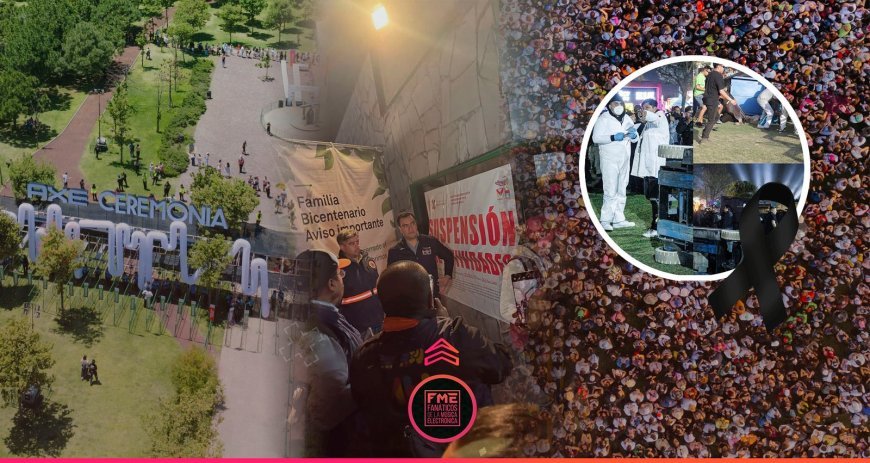 The Rise of Gourmet Street Food: Trends and Top Picks