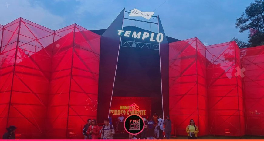 The Rise of Gourmet Street Food: Trends and Top Picks