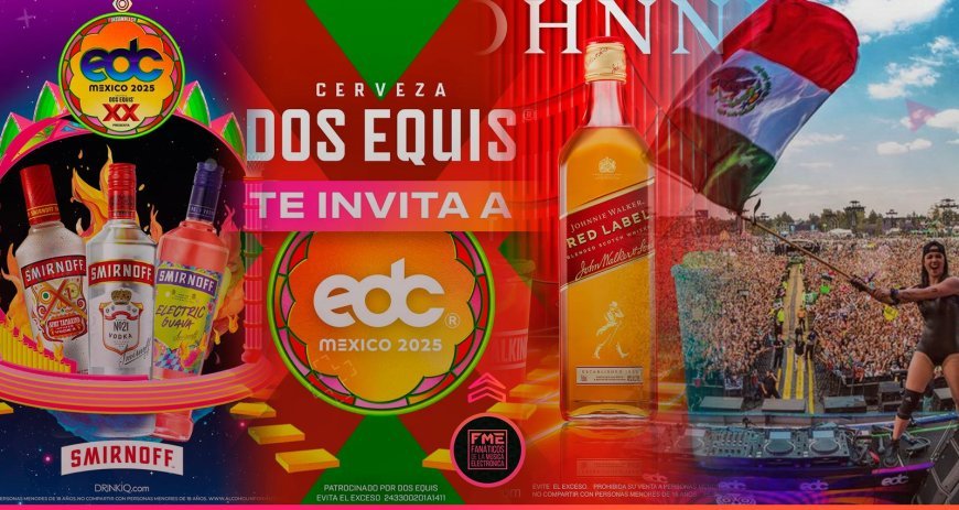 The Rise of Gourmet Street Food: Trends and Top Picks