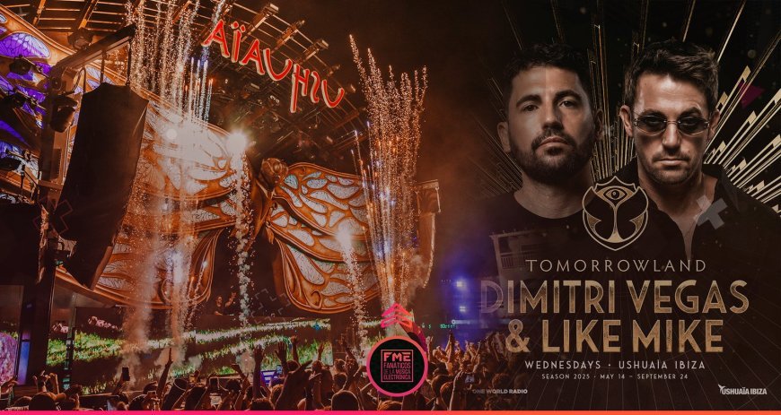 The Rise of Gourmet Street Food: Trends and Top Picks