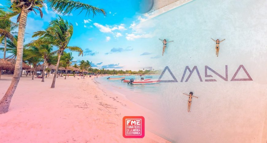 The Rise of Gourmet Street Food: Trends and Top Picks