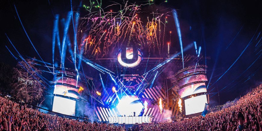 The Rise of Gourmet Street Food: Trends and Top Picks