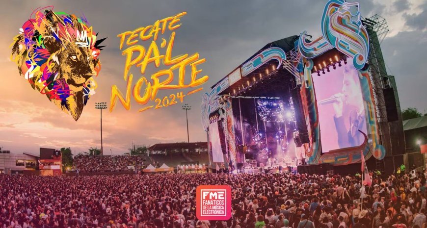 The Rise of Gourmet Street Food: Trends and Top Picks