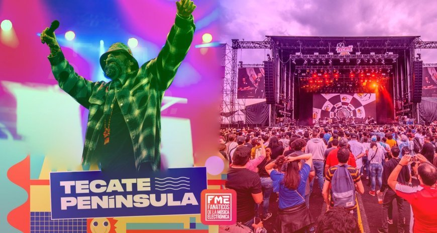 The Rise of Gourmet Street Food: Trends and Top Picks