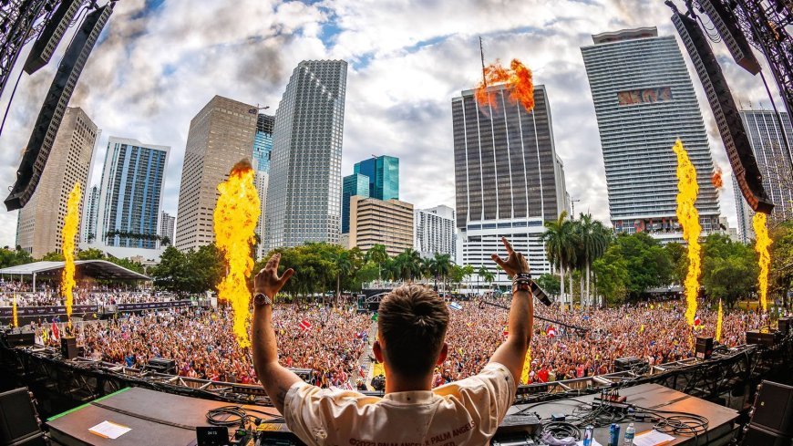 The Rise of Gourmet Street Food: Trends and Top Picks