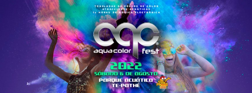 The Rise of Gourmet Street Food: Trends and Top Picks