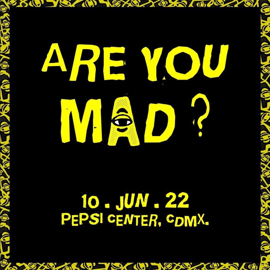 The Rise of Gourmet Street Food: Trends and Top Picks