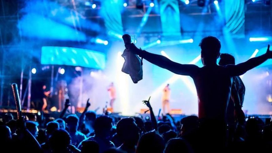 The Rise of Gourmet Street Food: Trends and Top Picks