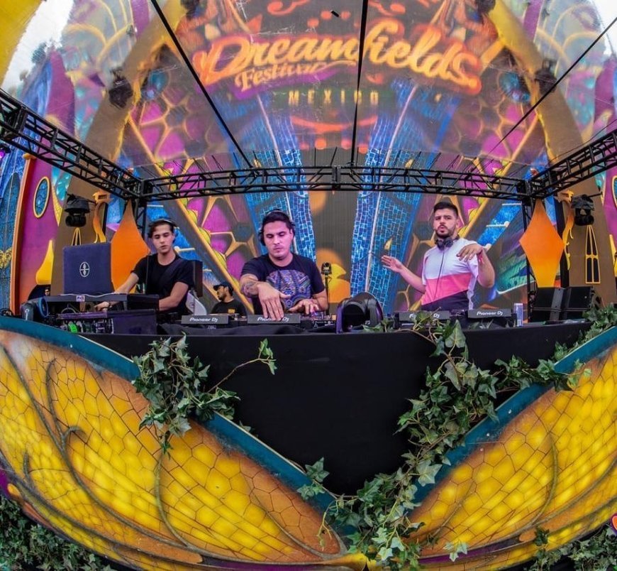 The Rise of Gourmet Street Food: Trends and Top Picks