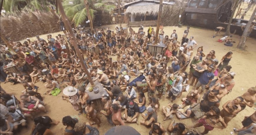 The Rise of Gourmet Street Food: Trends and Top Picks