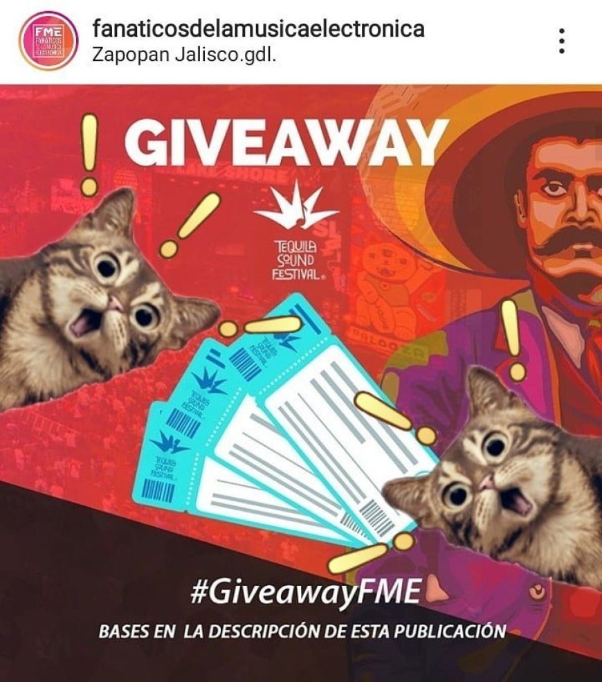 The Rise of Gourmet Street Food: Trends and Top Picks