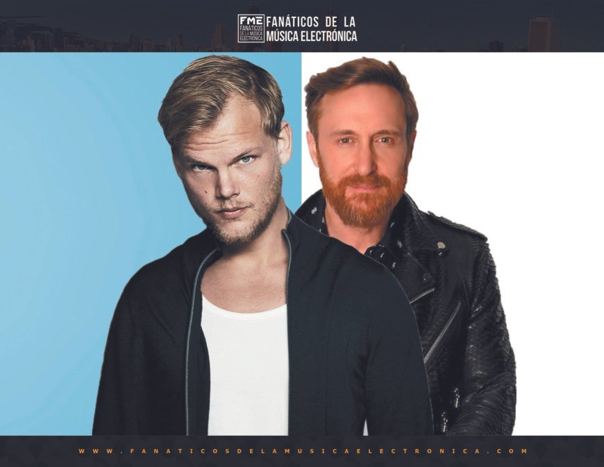 The Rise of Gourmet Street Food: Trends and Top Picks