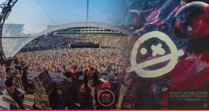 The Rise of Gourmet Street Food: Trends and Top Picks