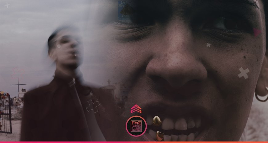 The Rise of Gourmet Street Food: Trends and Top Picks