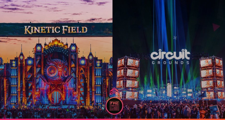 The Rise of Gourmet Street Food: Trends and Top Picks