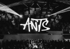 ANTS prepara un cierre monumental en Ushuaïa Ibiza: 15 DJs, siete B2B y 11 horas para el último baile de 2026