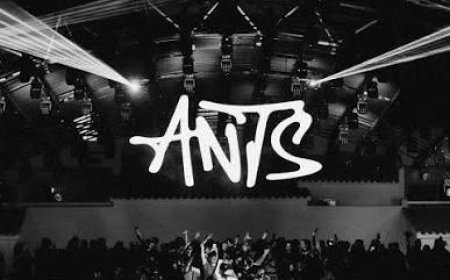 ANTS prepara un cierre monumental en Ushuaïa Ibiza: 15 DJs, siete B2B y 11 horas para el último baile de 2026